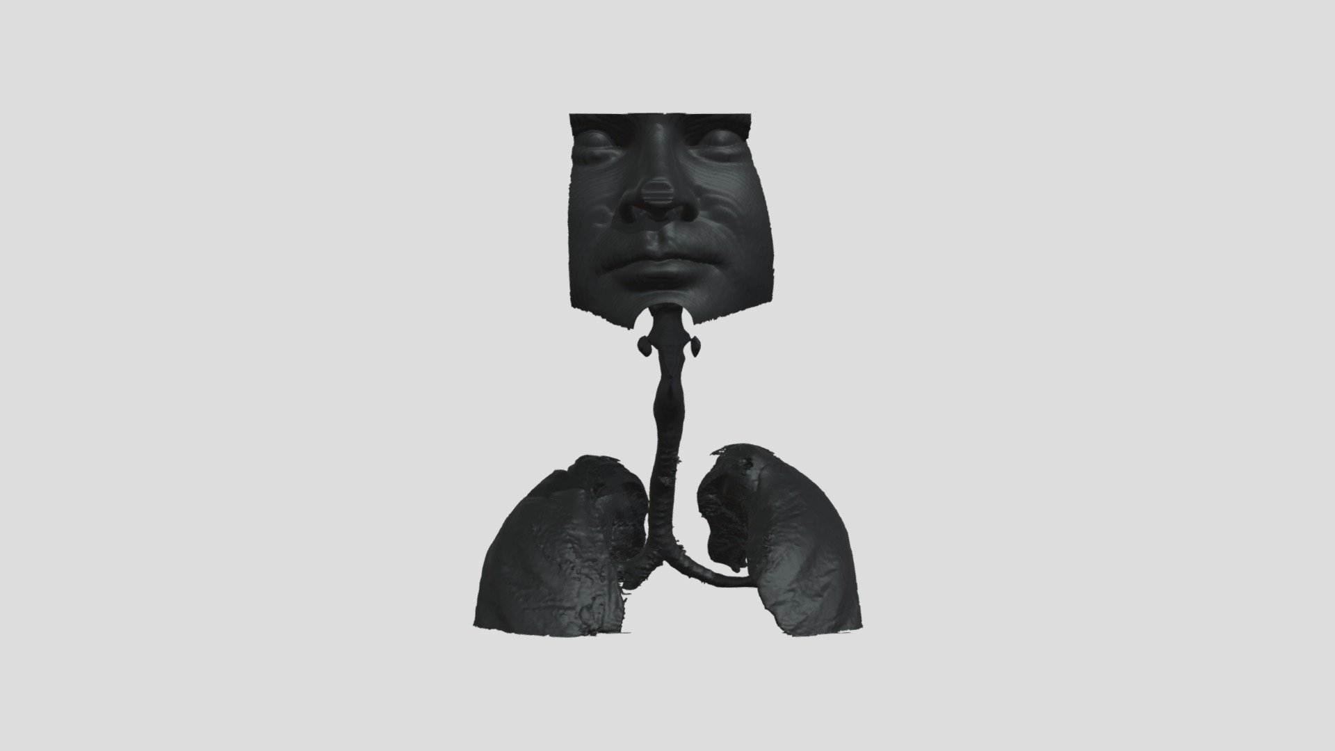 MRI Airways And Lungs