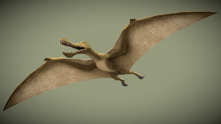 JWE2 Maaradactylus – Free 3D Model STL