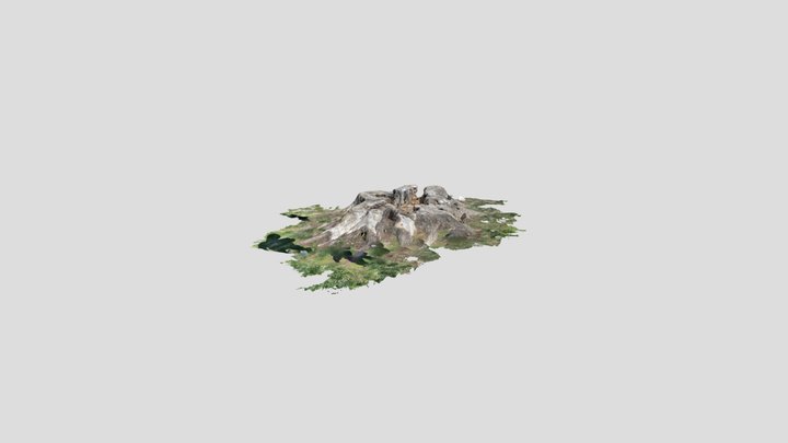 Tree stump in Gettysburg PA 3D Model