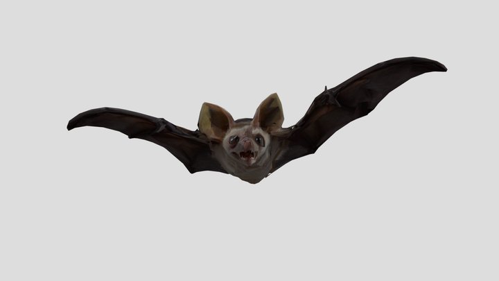 bat granny halloween