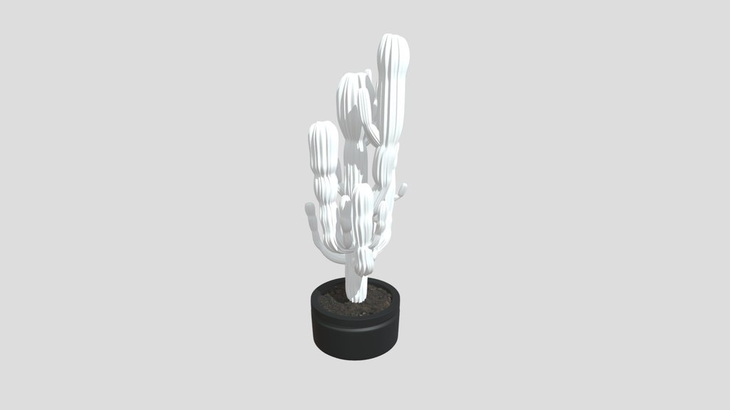 Cactus