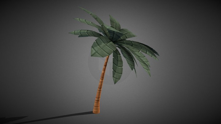 Stylized Palm Tree 3D Model