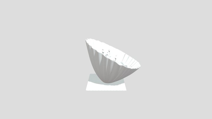 Splash Bursting from Scallop Shell 3D Model