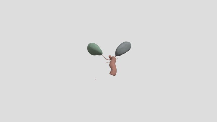 CT Kidney And Aorta Segmentation 3D Model