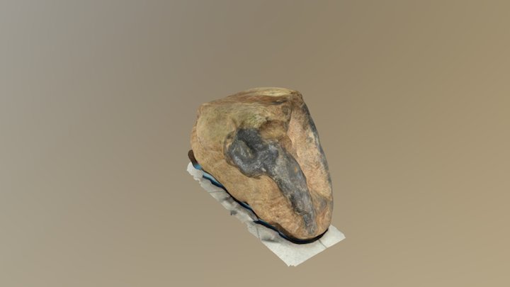 Afterlee Fossil Wood 01 3D Model