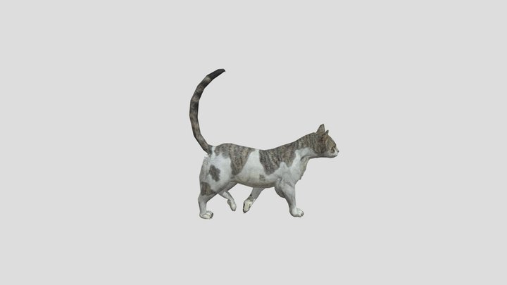 Realistic Animated Walking Cat 3D Model 3D Model