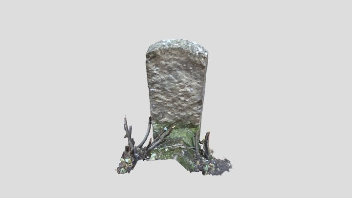 36 3D Model