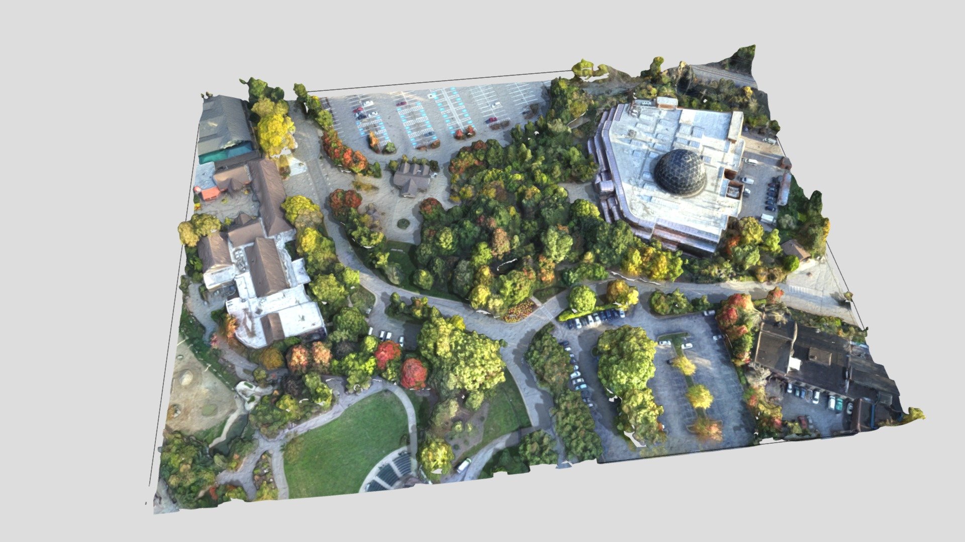 Drone Model of Rainforest, 2016
