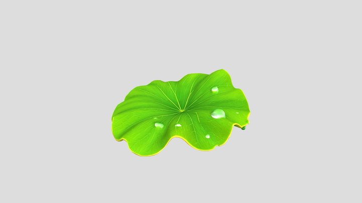 Lotus Leaf 3d model free – Kostenloses 3D-Modell STL