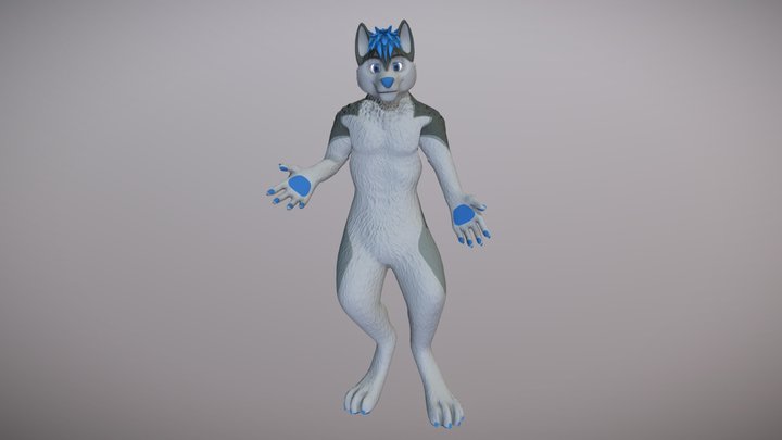 Husky Furry [2020] - VRChat Avatar 3D Model