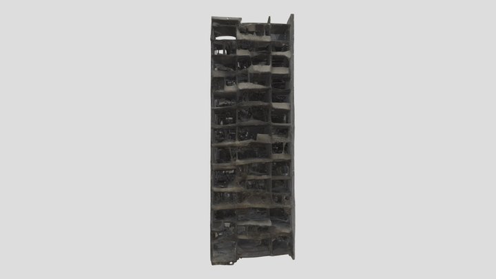 Desolation's Echo 3D Model