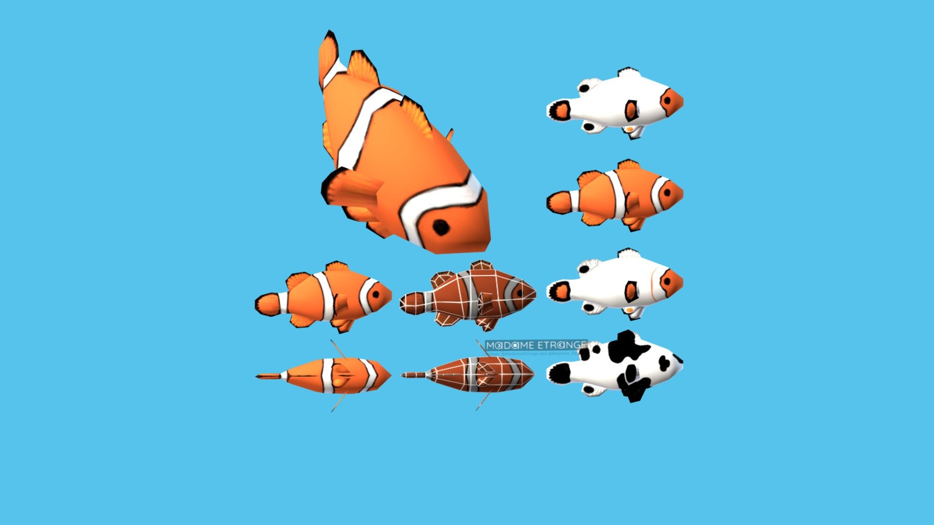 Clownfish- 256fes - 3D model by madameetrange [92e433a] - Sketchfab