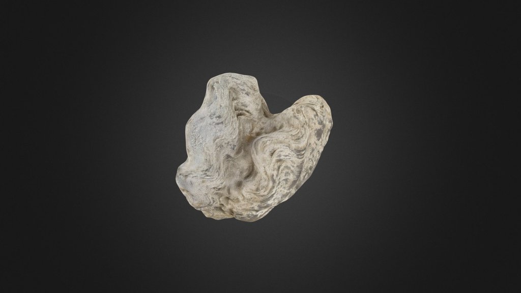 Ostrea