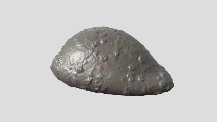 NG-1977-255-W 3D Model