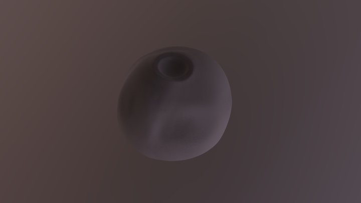 My model 3D Model