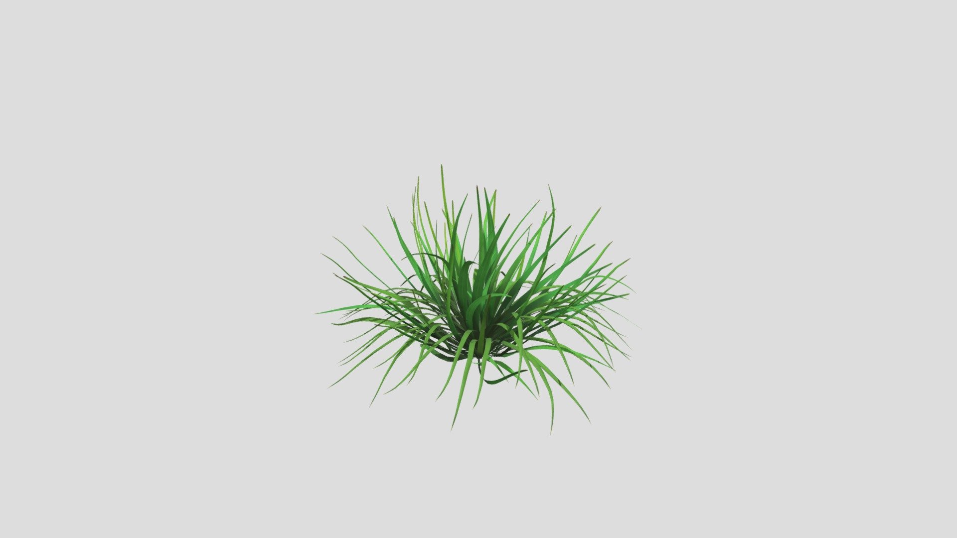 Tuft Of Grass