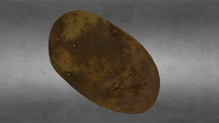 Ptto01 3D Model