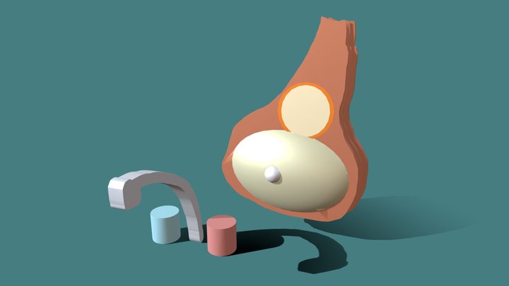 Prosciutto 3D Model