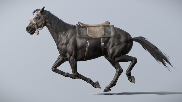 Horse Run Animated 3D Model