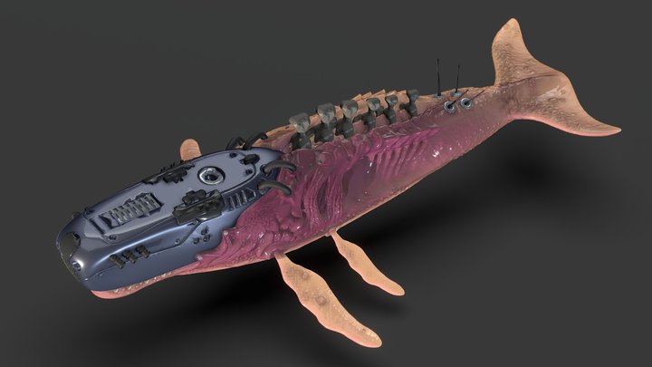 Biomechanical Whale 3D Model