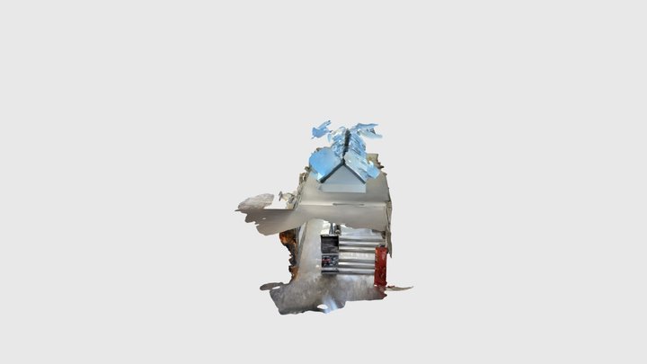 Petrified forest museum 3D Model