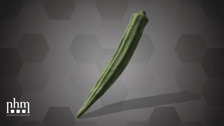 Bhindi (NHMW-AFW-DING-0046-018)