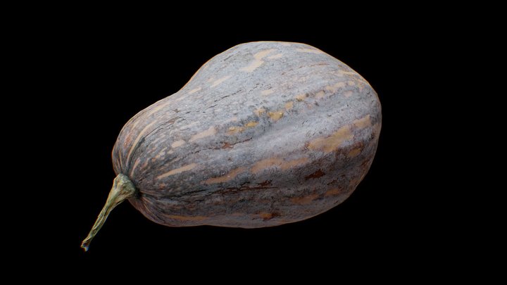 Scan Pumpkin-Freepoly.org – Free 3D Model STL