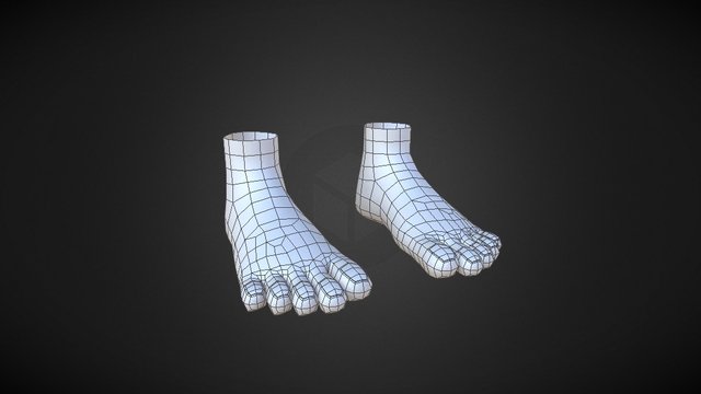 Lucy Feet 3D Model
