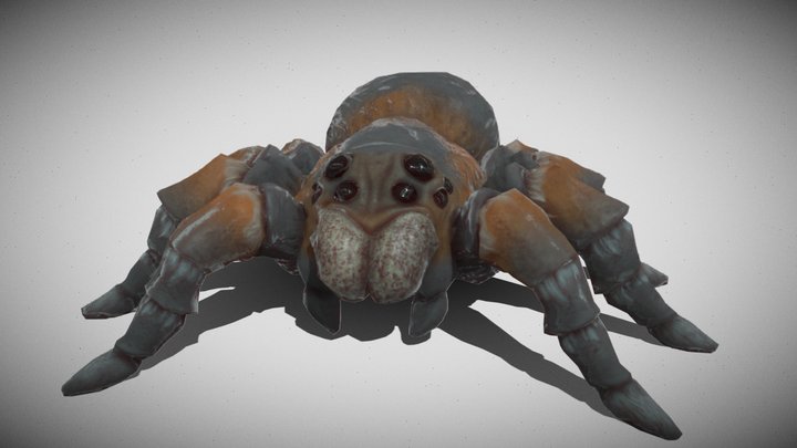 Spider dance lookdev 3D Model