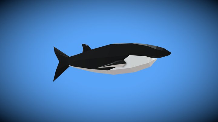 Shark lowpoly 3D Model