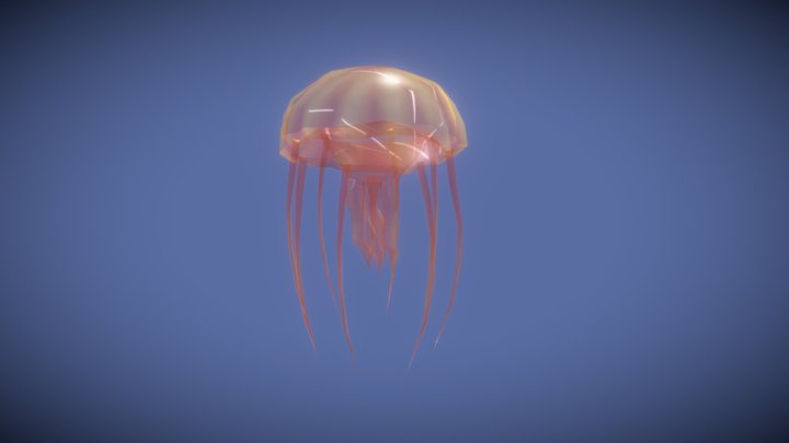 Sealife - Jellyfish 3D Model