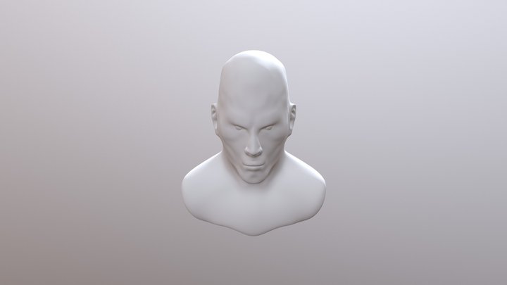 Hitman Bust High Poly 3D Model