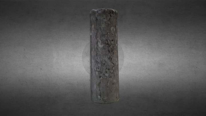 Cipo Italica 3D Model