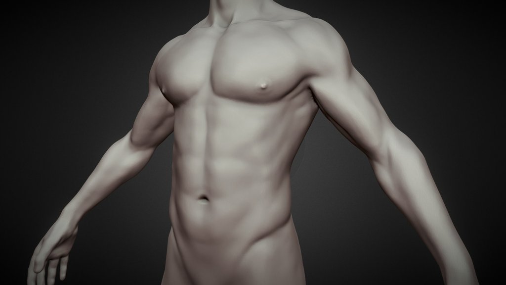 Male body base mesh (highpoly)