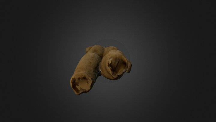 Kuros  3D Model