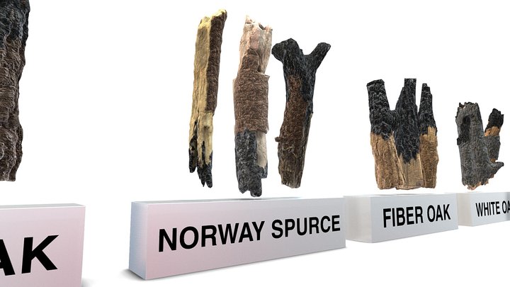 Wood Logs (Fireplace Edition) 3D 3D Model