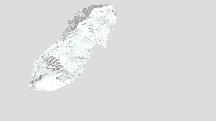 270922_WDV_simplified_3d_mesh 3D Model