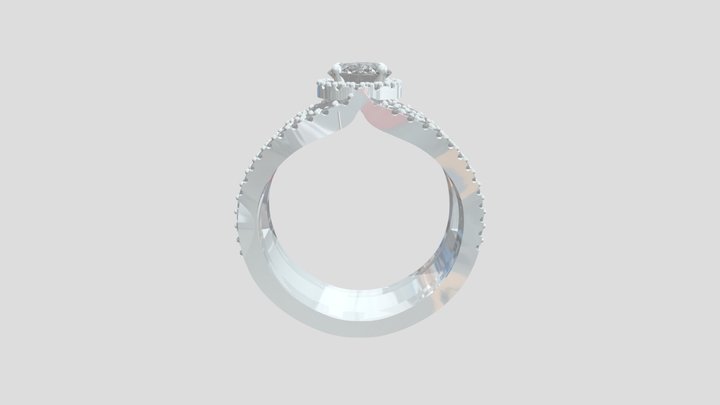 ring4 3D Model