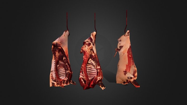 Carcass 3D Model