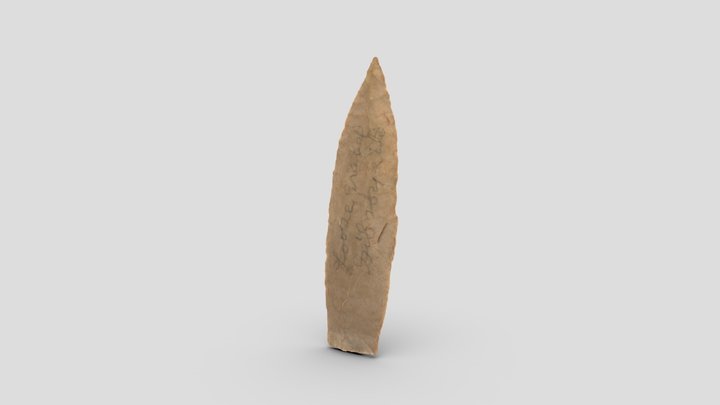 Paleoindian Projectile Point 3D Model