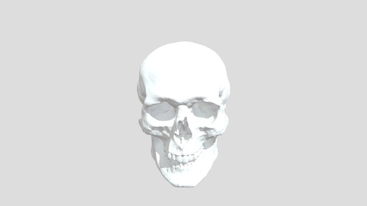 ImageToStl_com_череп 3D Model