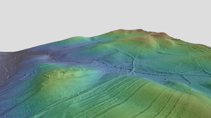 3D_Contributa_Iulia 3D Model
