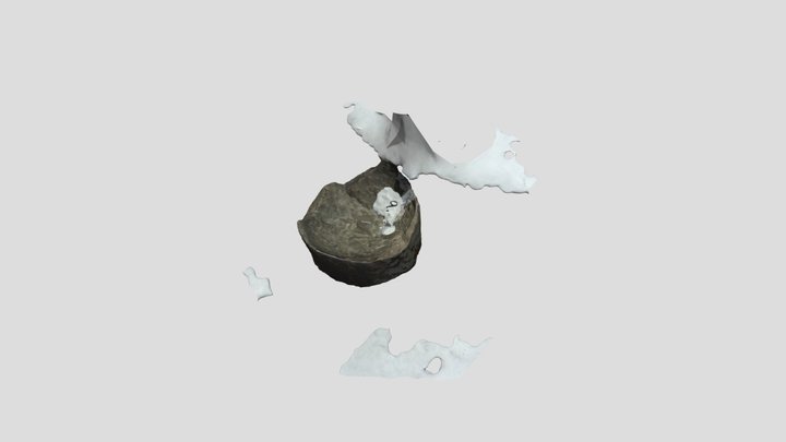 Nauthiloid Orthoconic Cephalopods 3D Model