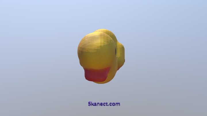 New Skanect Model 3D Model