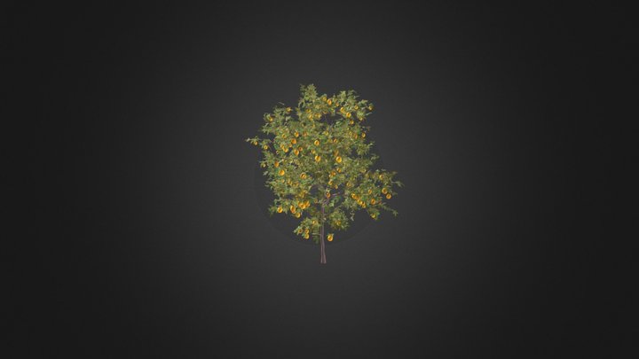 Lemon Tree with Fruits 3D Model 3.1m 3D Model