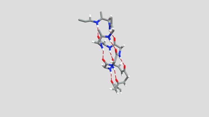 alpha-helix hydrogen bonding 3D Model