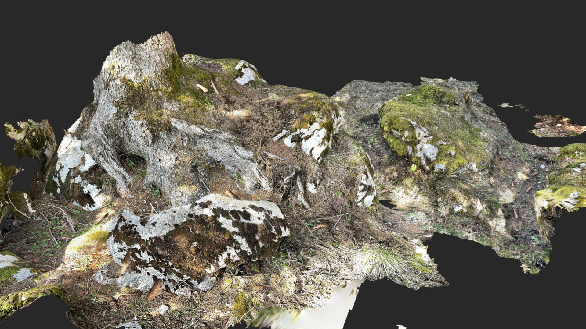 rocks mossy lidar scan Download Free 3D model by zexell [932c69f