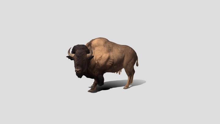 Bison 3d model free – Free 3D Model STL
