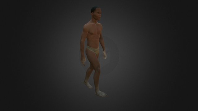 Human 3D Model