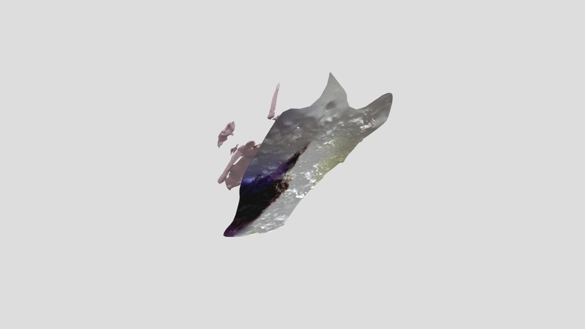 Lizard
